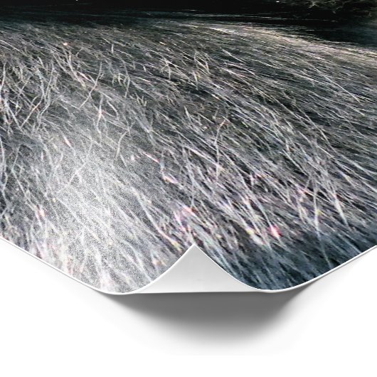 IMPRESSION PHOTO SINGES (Coin)