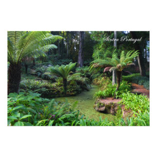 Impression Photo Sintra Portugal