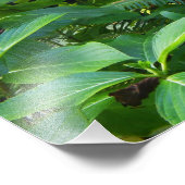 Impression Photo Sintra Portugal (Coin)