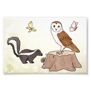 Impression Photo Skunk et Eule Fotodruck