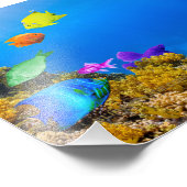Impression Photo SlipperyJoe's Fish Pride tropicale vert bleu pourp (Coin)