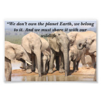 Slogan personnalisé / Conservation Elephant Herd S
