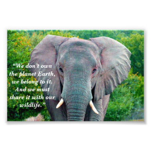 Impression Photo Slogan personnalisé/Elephant de conservation