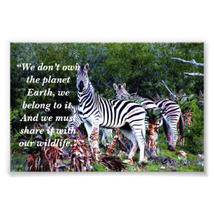 Impression Photo Slogan personnalisé/Zebra Aloe de conservation