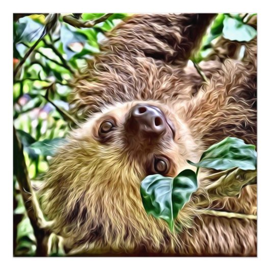 Impression Photo Sloth peint (Devant)