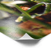 Impression Photo Snowdrops (Coin)