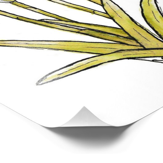 Impression Photo Snowdrops (Coin)