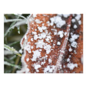 Impression Photo Snowflakes (Devant)