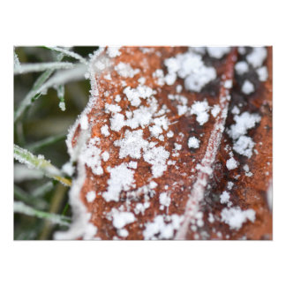 Impression Photo Snowflakes