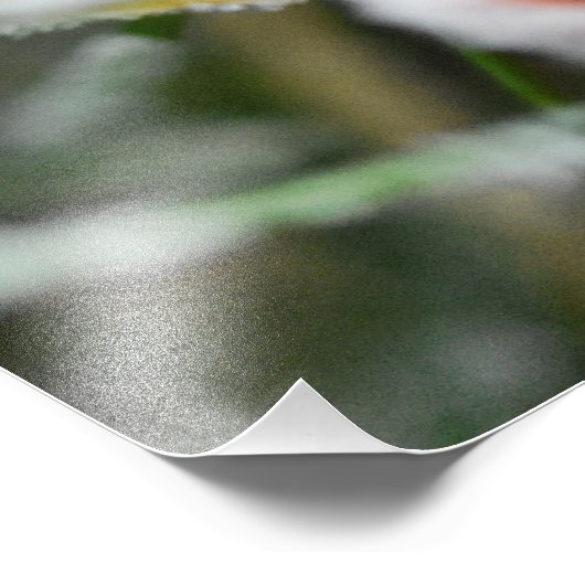 Impression Photo Snowflakes (Coin)