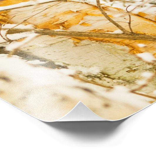 Impression Photo Snowy Birch (Coin)