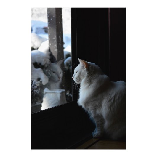 Impression Photo Snowy White Kitty (Devant)