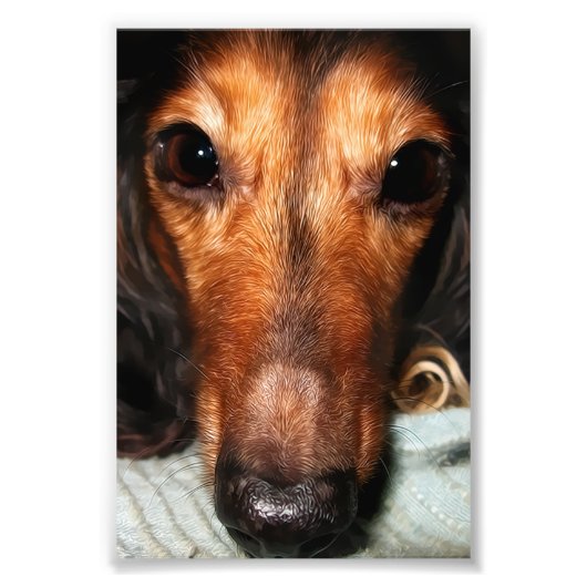 Impression Photo Snuggle Bugs Mackenzie (Devant)