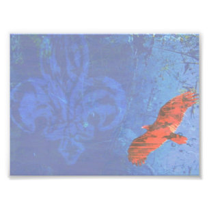 Impression Photo Soar