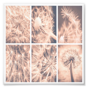 Impression Photo Soft Fairytale Pink Dandelion Carré