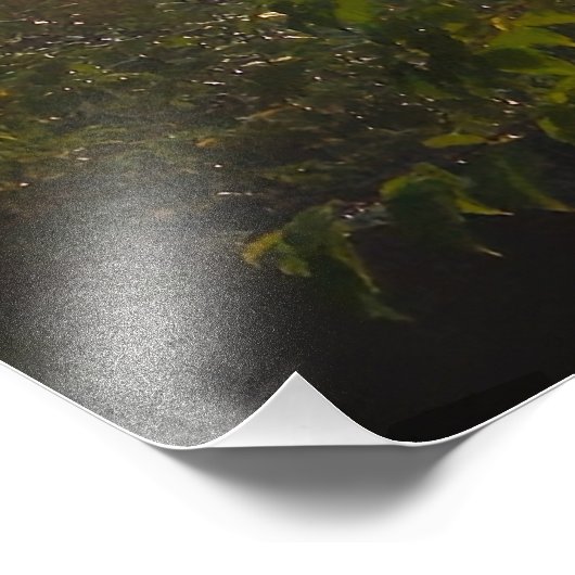 Impression Photo Soleil (Coin)