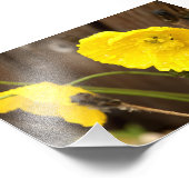 Impression Photo Soleil atténué (Coin)