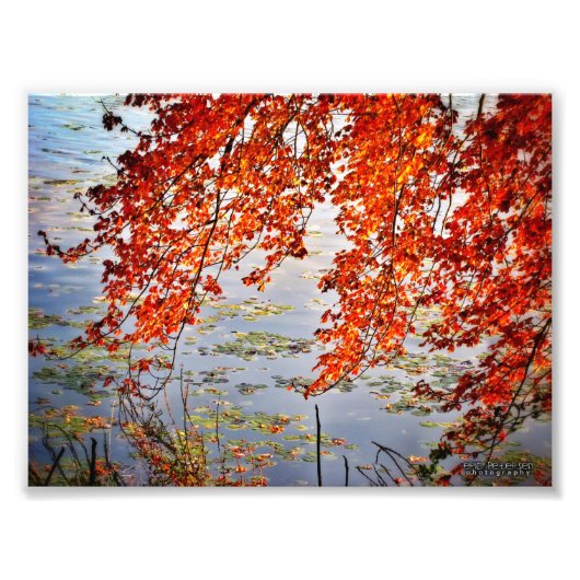 Impression Photo Soleil d'automne #2 (Devant)