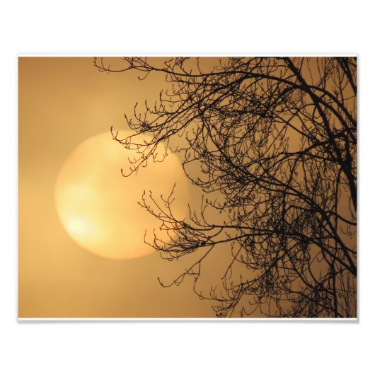 Impression Photo Soleil de début de matinée (Devant)