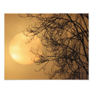 Impression Photo Soleil de début de matinée