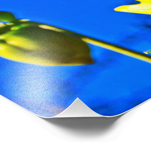 Impression Photo Soleil vers le haut (Coin)