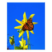 Impression Photo Soleil vers le haut (Devant)