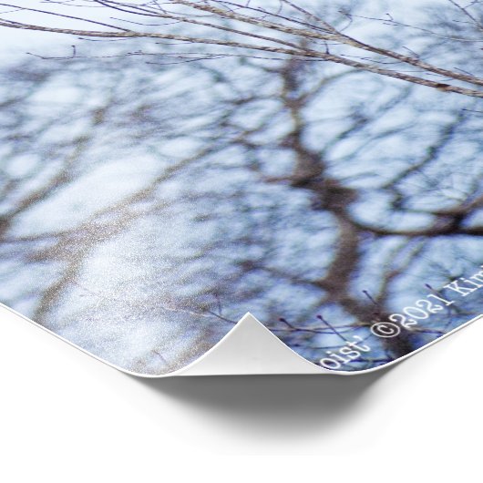 Impression Photo Soliste (Coin)