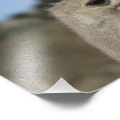 Impression Photo Solvang, CA (Coin)