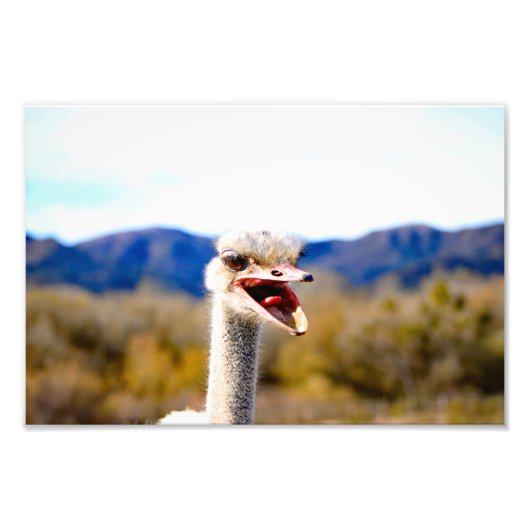 Impression Photo Solvang, CA (Devant)