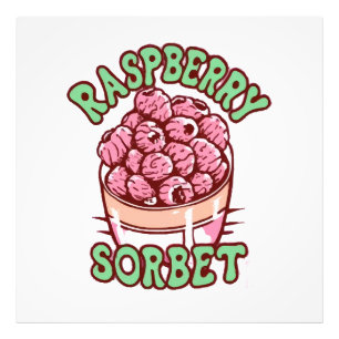 Impression Photo Sorbet de framboise