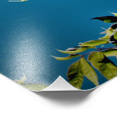 Impression Photo "Sorins a le soleil" (Coin)