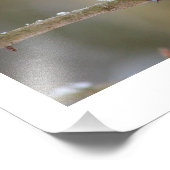 Impression Photo souris (Coin)