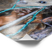 Impression Photo Souris en bois (Coin)