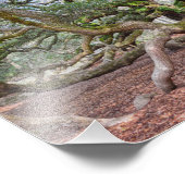 Impression Photo Sous Angel Oak, Caroline du Sud (Coin)