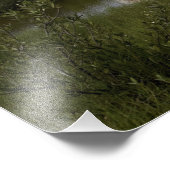 Impression Photo Space Shuttle Endeavor se lève sur 4 (Coin)