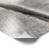 Impression Photo Sparrow - Après la transatlantique (Coin)