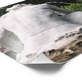 Impression Photo Spat et Spat (Coin)