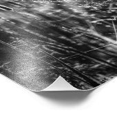 Impression Photo Spider Web Black and White Nature Fine Art (Coin)