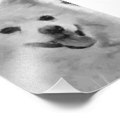 Impression Photo Spitz japonais (Coin)