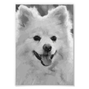 Impression Photo Spitz japonais