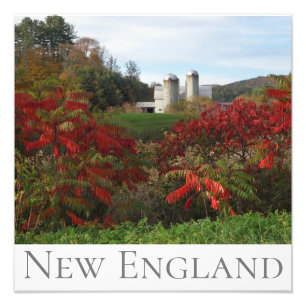 Impression Photo Splendor d'automne Nouvelle-Angleterre Couleurs d'