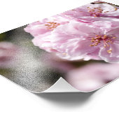 Impression Photo Spring blossom (Coin)