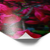 Impression Photo "Spring Boom" (Impression photo) (Coin)
