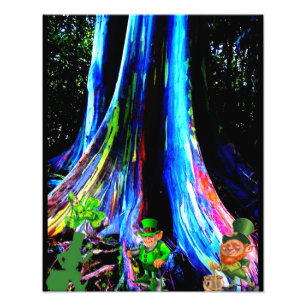 IMPRESSION PHOTO ST. LE JOUR DE PATRICK LEPRECHAUNS