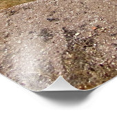 Impression Photo Stade Palatine Ruines à Rome, Italie (Coin)