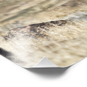 Impression Photo Stallion Mustang Noir Sauvage Imprimer (Coin)