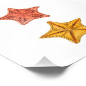 Impression Photo Starfish Beach Sea Salle de bain nautique Imprimer (Coin)