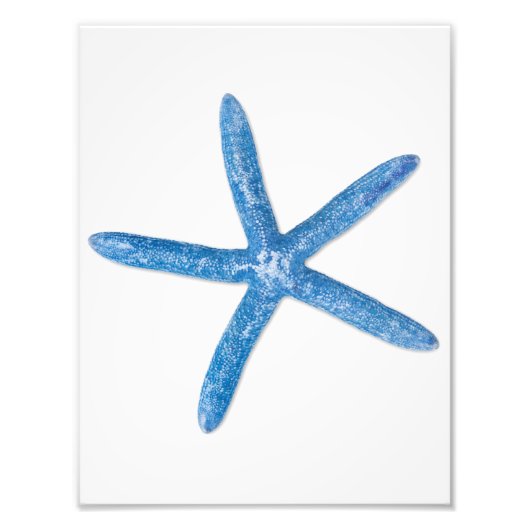 Impression Photo Starfish bleu (Devant)
