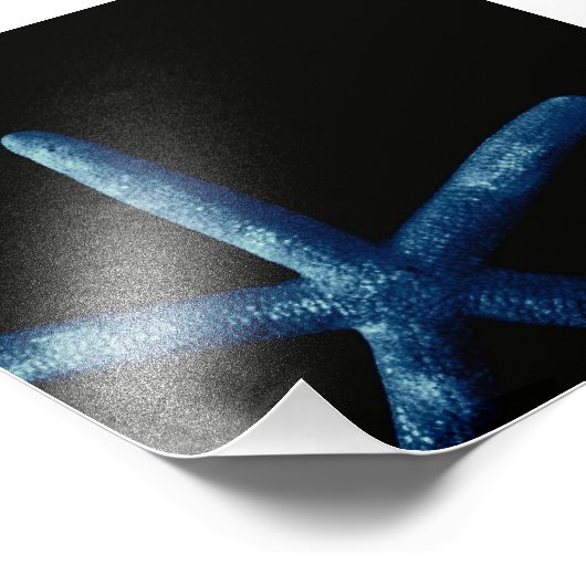 Impression Photo Starfish bleu (Coin)