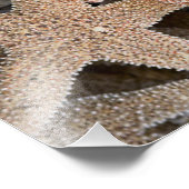 Impression Photo Starfish partout (Coin)